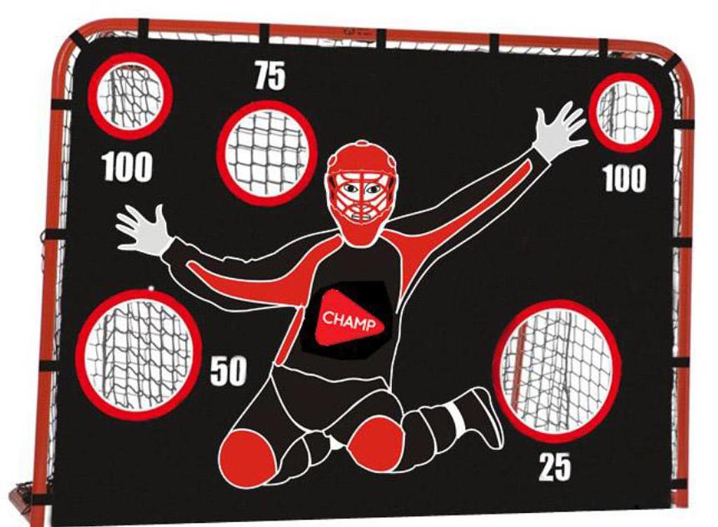 Unihockeytor mit Torwand