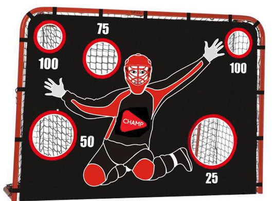Unihockeytor mit Torwand