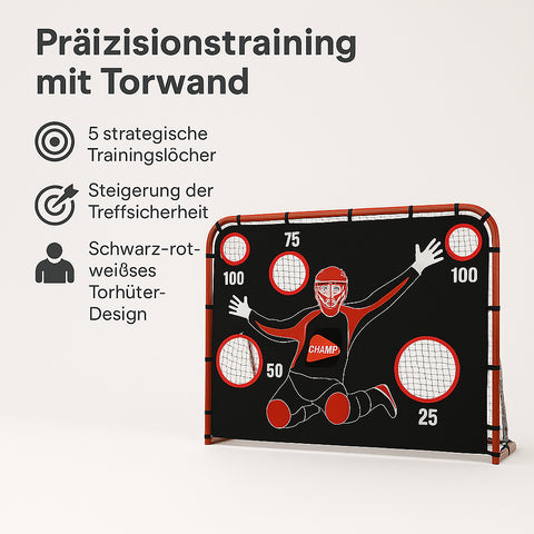 Unihockeytor mit Torwand