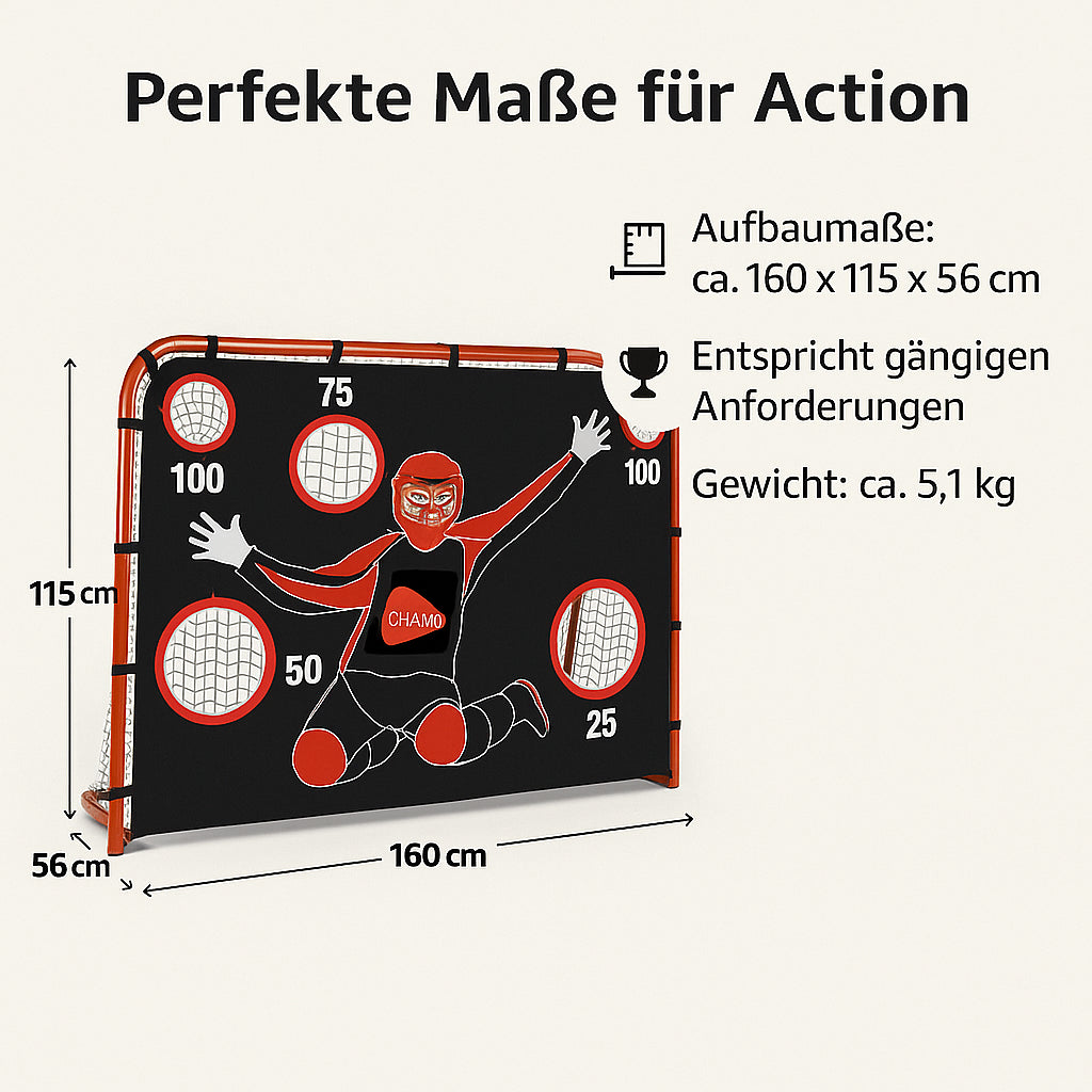Unihockeytor mit Torwand