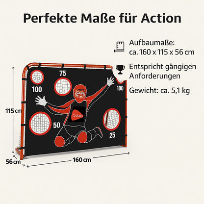 Unihockeytor mit Torwand