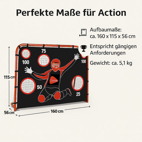 Unihockeytor mit Torwand
