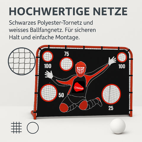 Unihockeytor mit Torwand