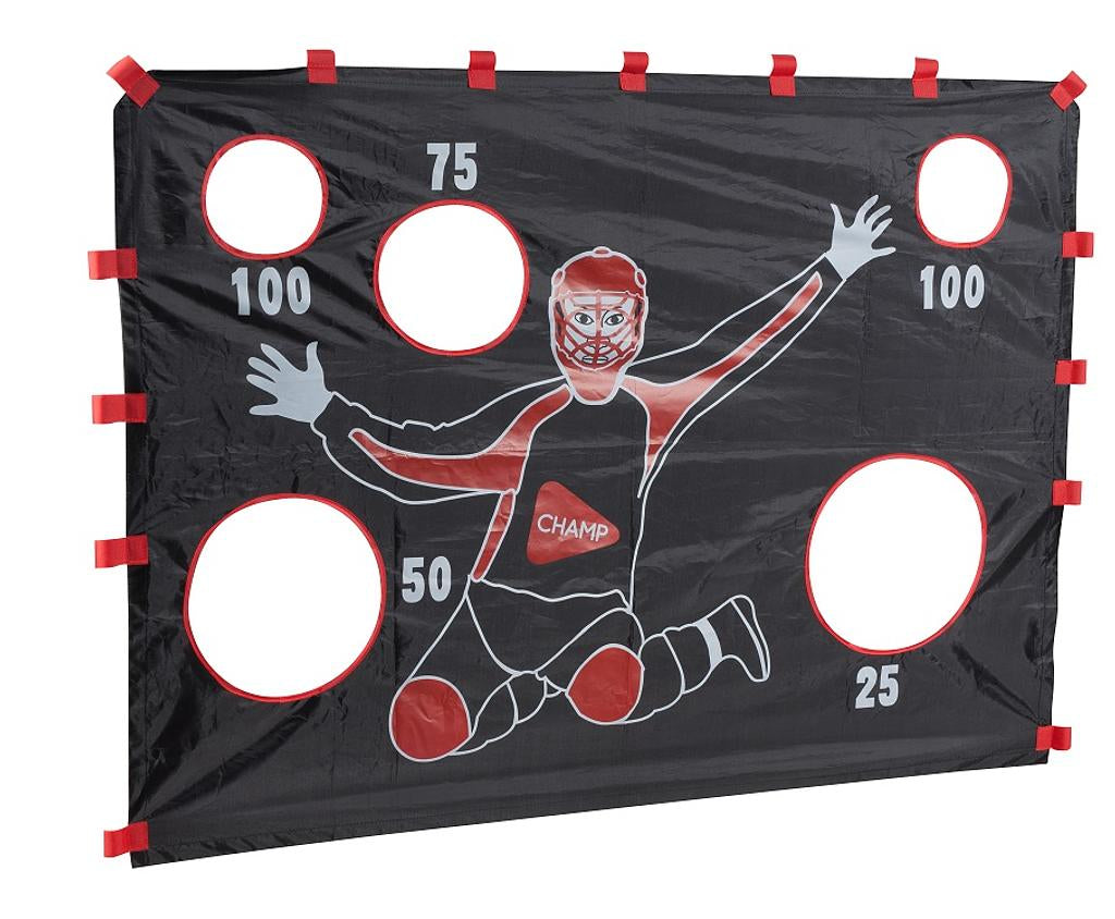 Torwand zu Unihockeytor