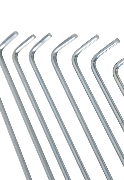 AXION - Zelthering (10er Set)