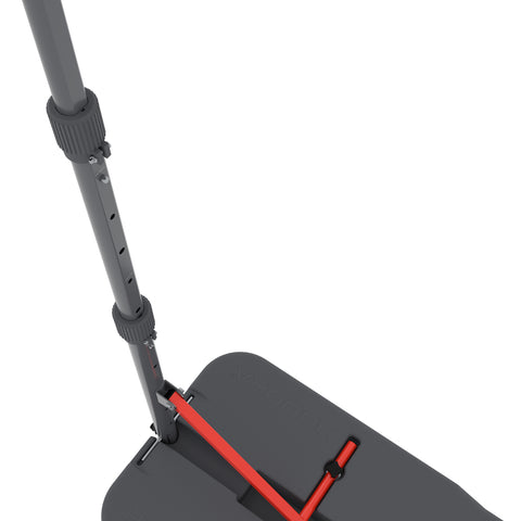 Basketballständer Evo 205/260