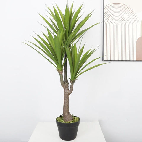 Kunst Drachenbaum – 150 cm, pflegeleicht & realistisch