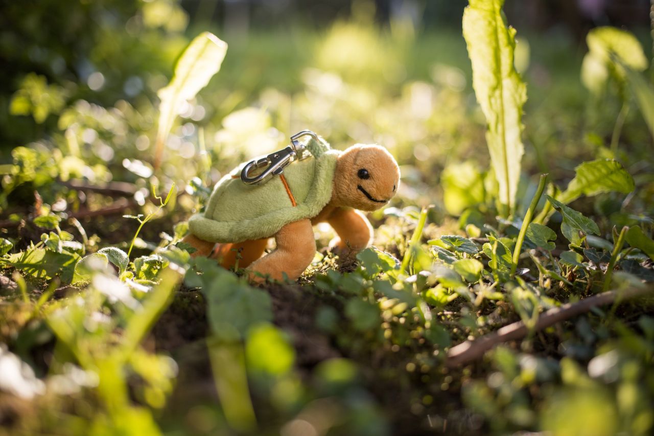 Anhänger Schildkröte "Hilde"