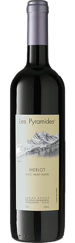 Diego & Adrian Mathier Merlot Les Pyramides AOC Valais 2024