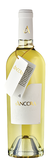 Cave de Jolimont Ancora Weiss 2022 Blanc