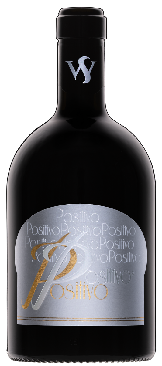 Weingut Seewer Positivo Rot - Weingut Seewer 2024