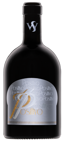 Weingut Seewer Positivo Magnum - Weingut Seewer 2024