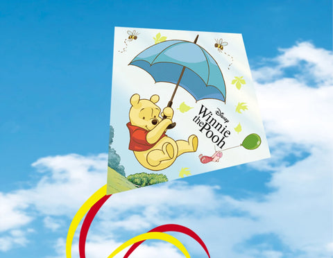 Einleinerdrachen Winnie