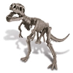Dino Ausgrabungs - Set Tyrannosaurus Rex