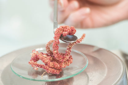 RAUSCH - Sensitive Hand Cream with Chamomile 🌼 - Hydrating Hand Treatment