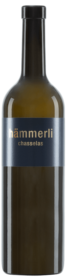 Weingut Hämmerli Chasselas Hämmerli 2024 Blanc