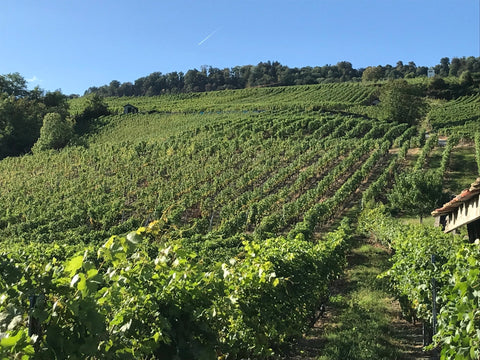 🍷 Cabernet Sauvignon: Ein kühner Ausdruck von Cave du Consul