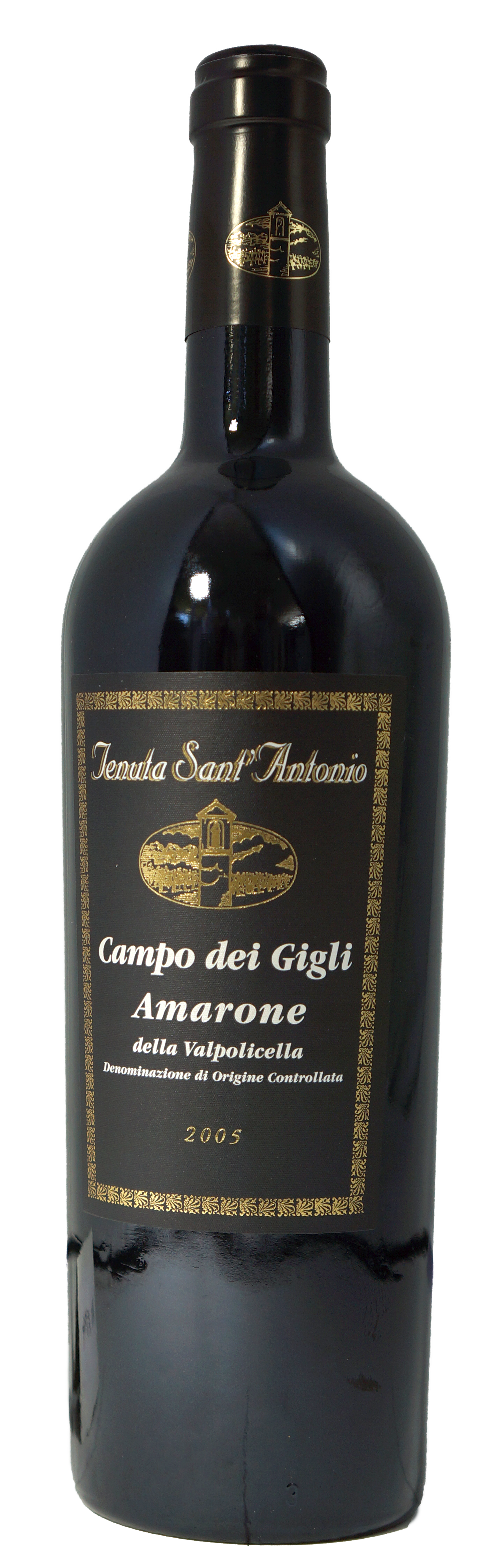 Tenuta Sant'Antonio Amarone DOC della Valpolicella Campo dei Gigli 2011