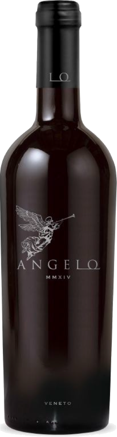 Angelo Angelo Rosso 2022