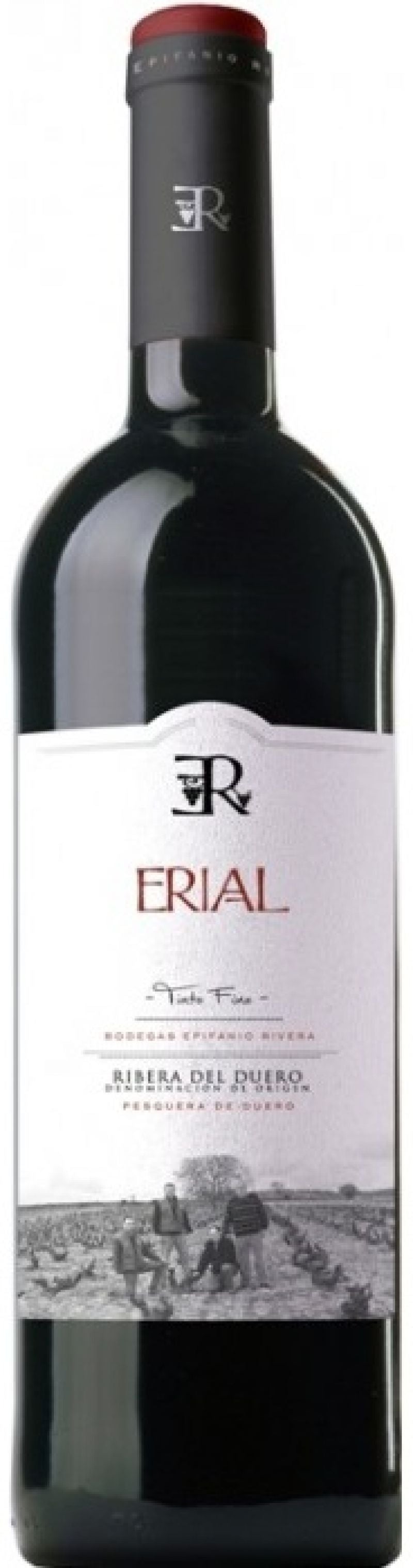 Bodegas Epifanio Erial Crianza DO 2023