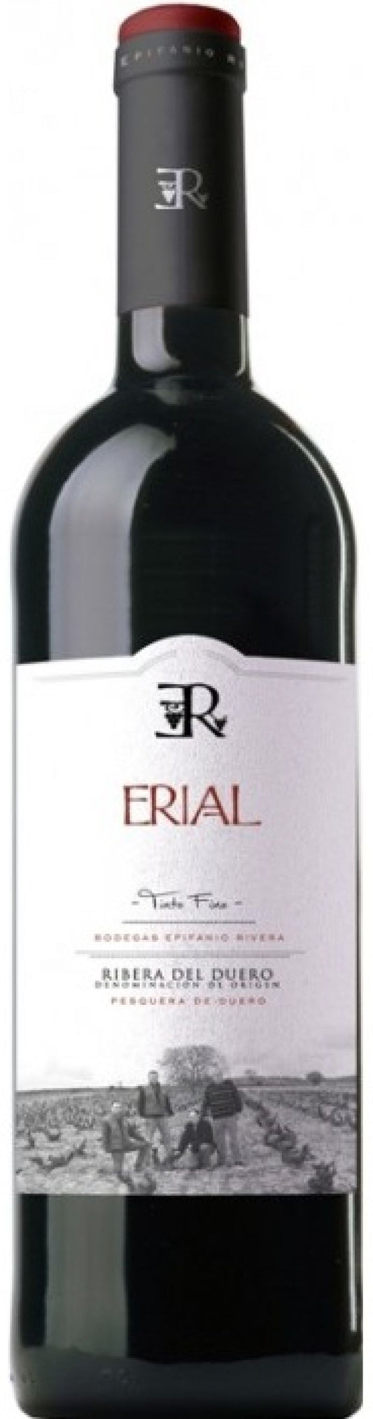 Bodegas Epifanio Erial Crianza DO 2023