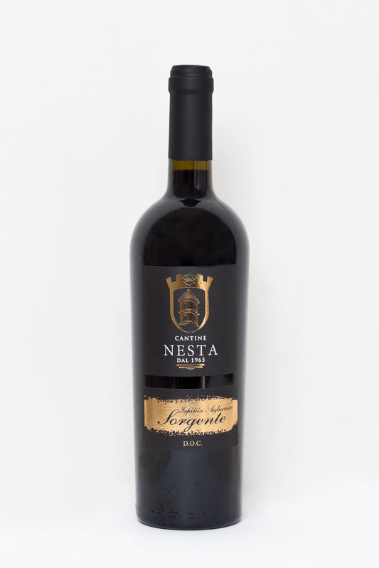 Cantine Nesta - AGLIANICO D.O.C. - Taste the Tradition! 🍷✨