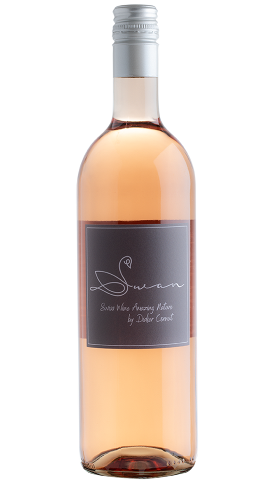 SwanWine - Swan Wine - Garanoir & Gamay Blend - Summery Swiss Rosé 🍷🌸☀️