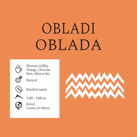 Xalala Obladi-Oblada - Brazilian Coffee Beans