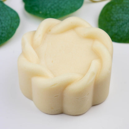 SenSha-Cosmetics - Solid Shampoo - 🧼 For Healthy Hair, Naturally