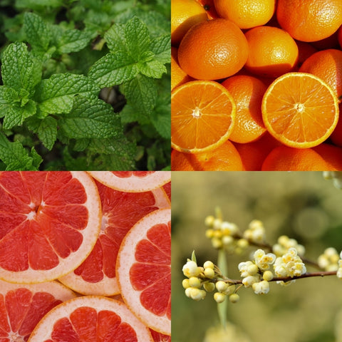 Cocooning Biocosmetics - Shower Tablets MORNING ZEST - Refresh Your Mornings! ☀️💦