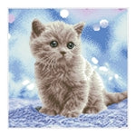 Diamond Painting Katzenbaby