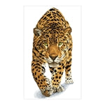 Diamond Painting Gepard