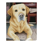 Diamond Painting Labrador