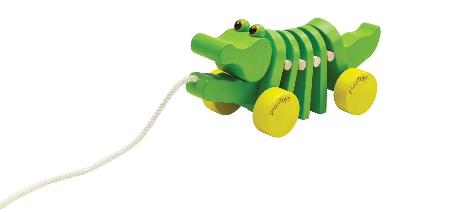 Tanzender Alligator/ Krokodil