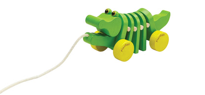 Tanzender Alligator/ Krokodil