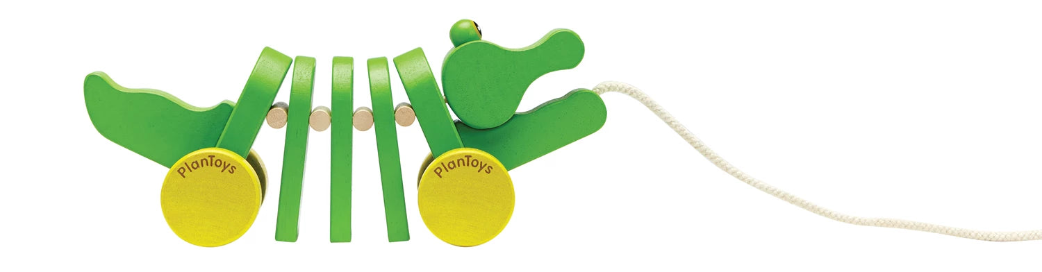 Tanzender Alligator/ Krokodil