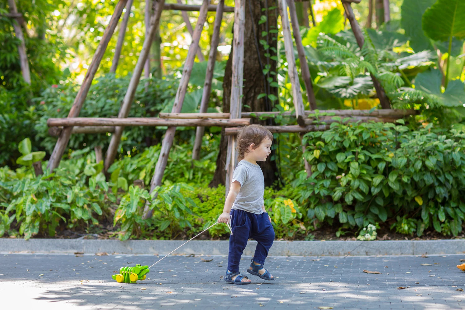 Tanzender Alligator/ Krokodil