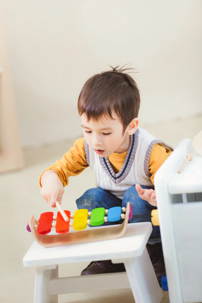 Xylophone mit Klangholz