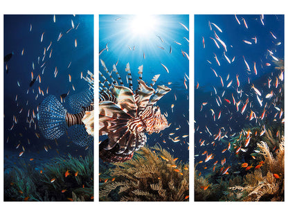 Leinwandbild 3-teilig Lionfish