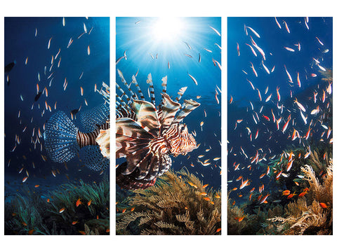 Leinwandbild 3-teilig Lionfish