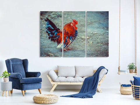 Leinwandbild 3-teilig Stolzer Hahn