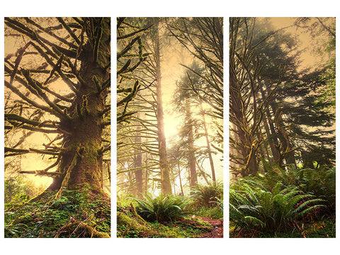 Leinwandbild 3-teilig Sonnenuntergang im Dschungel