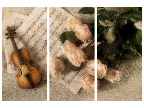 Leinwandbild 3-teilig Die Violine