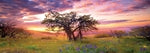 Oak Tree Panorama 2000 Teile