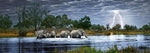 Herd of Elephants Panorama 2000 Teile