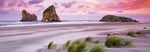 Wharariki Beach Panorama 1000 Teile