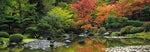 Zen Reflection Panorama 1000 Teile