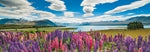 Lake Tekapo Panorama 1000 Teile