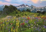 Tatoosh Mountains Standard 2000 Teile