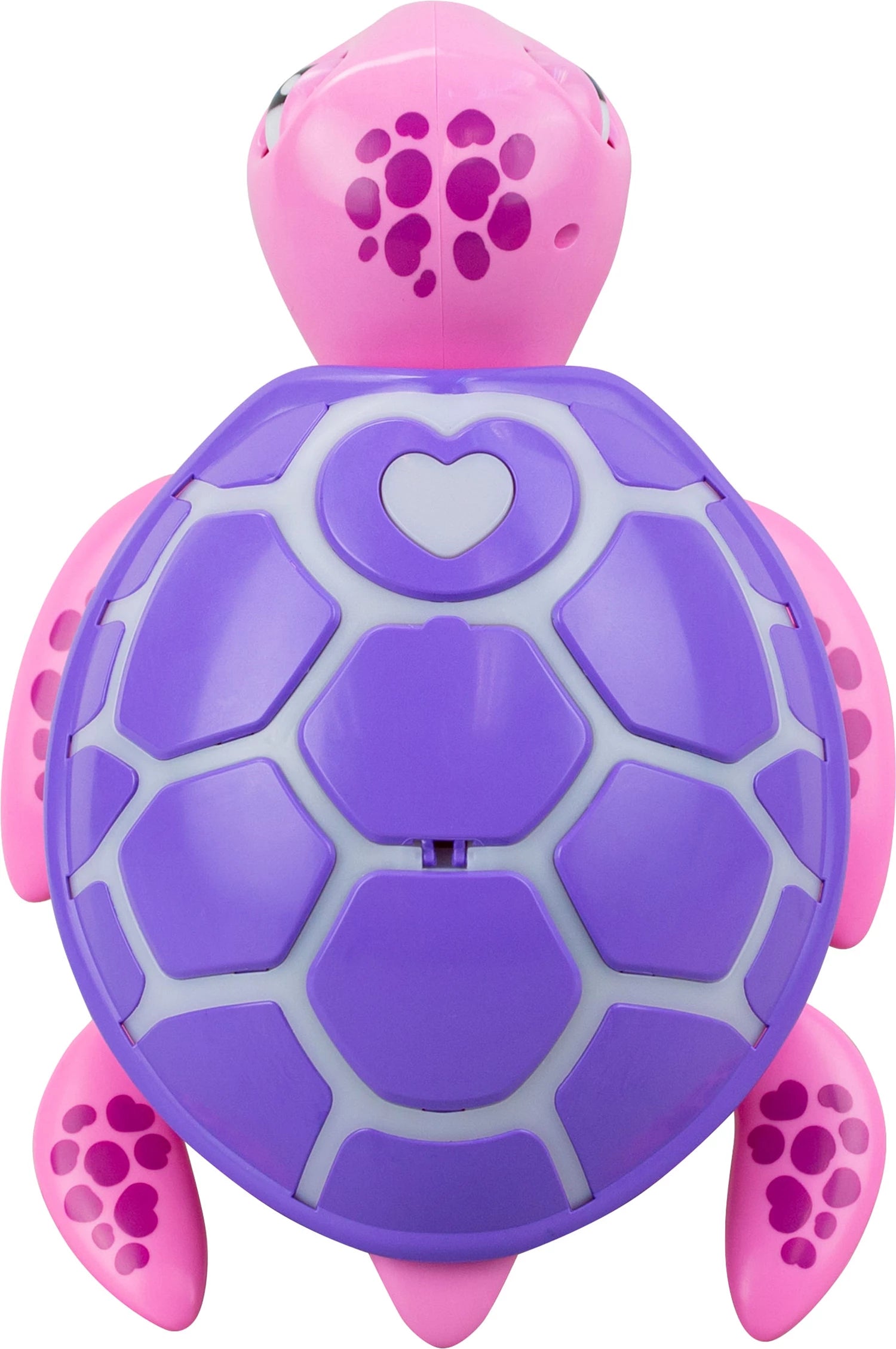 Digifriends Rescue Turtle